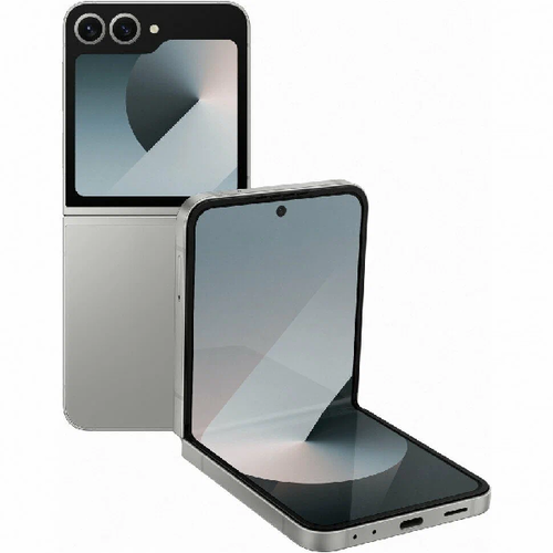Телефон Samsung F741B/DS Galaxy Z Flip6 256Gb Silver Shadow фото 